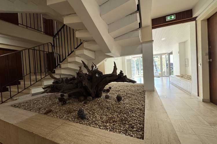 Cabinet Briand | votre agence immobilière Royan, spécialiste des biens immobiliers de prestige sur la côte charentaise