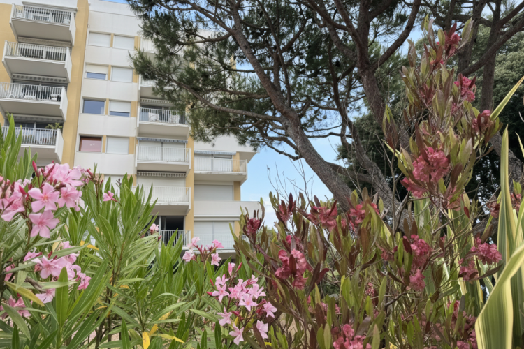 Cabinet Briand | votre agence immobilière Royan, spécialiste des biens immobiliers de prestige sur la côte charentaise