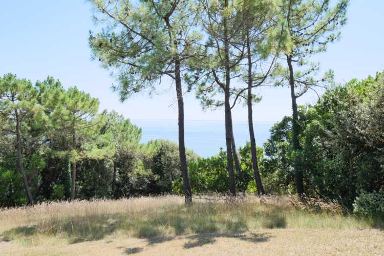 Cabinet Briand | Agent immobilier Royan, agence spécialiste des biens immobiliers de prestige sur la côte charentaise